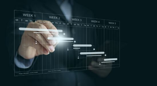 Project Manager Project Manager